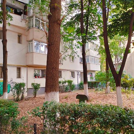 My House - Ultracentral Romana Square Near Old Town Bukarest Exteriör bild